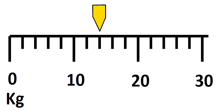 14kg scales