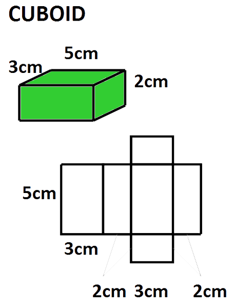 cuboid net def